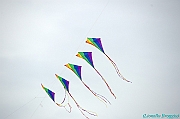 RIMINI 2012 - 025